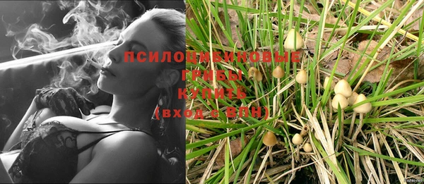 дживик Аркадак