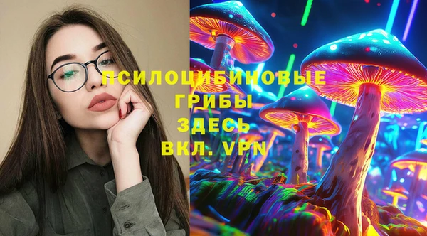 дживик Аркадак