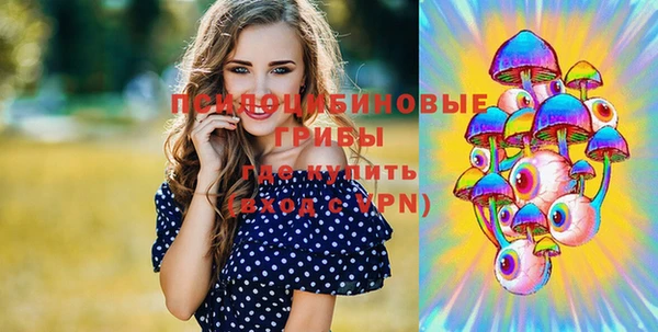 хмурый Армянск