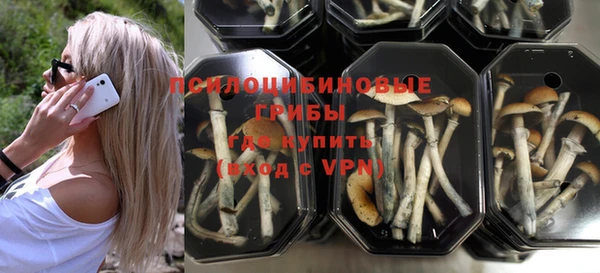дживик Аркадак