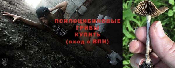 хмурый Армянск